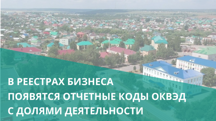 В реестрах бизнеса появятся отчетные коды ОКВЭД с долями деятельности