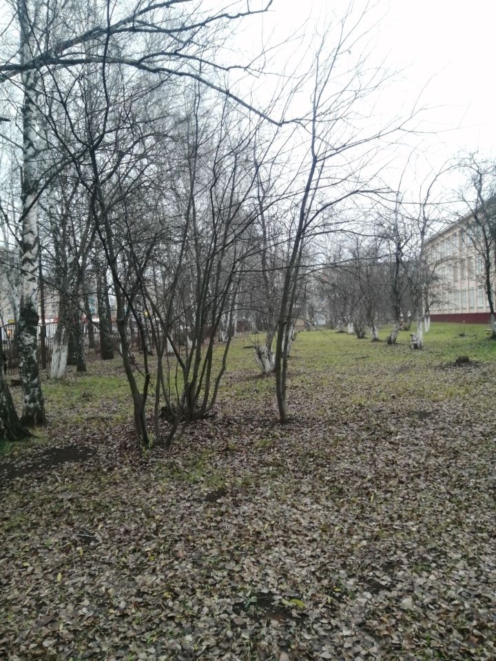 В Татарстане сохранится тёплая погода, но к концу недели возможны дожди