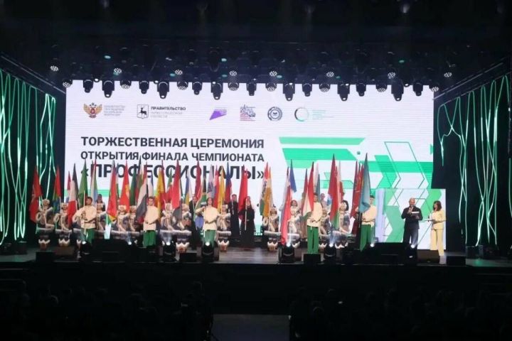 Финал чемпионата «Профессионалы»: Татарстан представят в 9 компетенциях