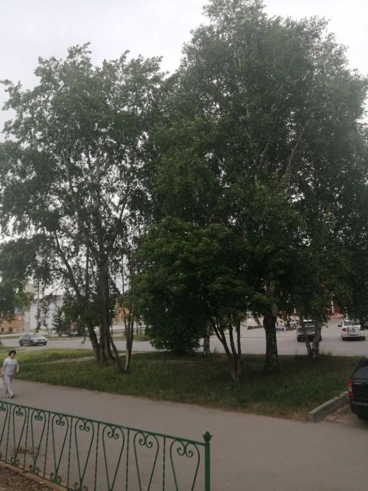 Прогноз погоды в Азнакаево на 7 июня