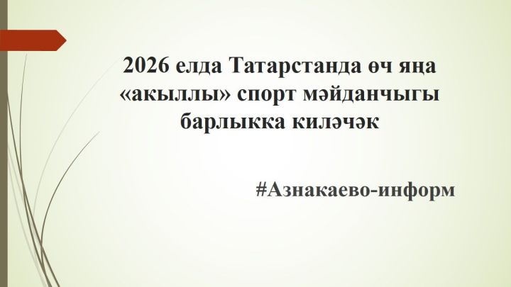 2026 елда Татарстанда өч яңа «акыллы» спорт мәйданчыгы барлыкка киләчәк