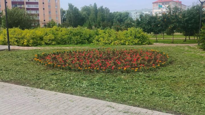 Зеленый наряд города: сотрудники АО «МППБиО +» готовят улицы к лету