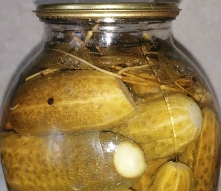Кышка әзерләнәбез .Тозлы кыяр