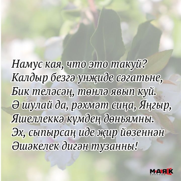 Римма Варис кызы Тинбакованың иҗаты