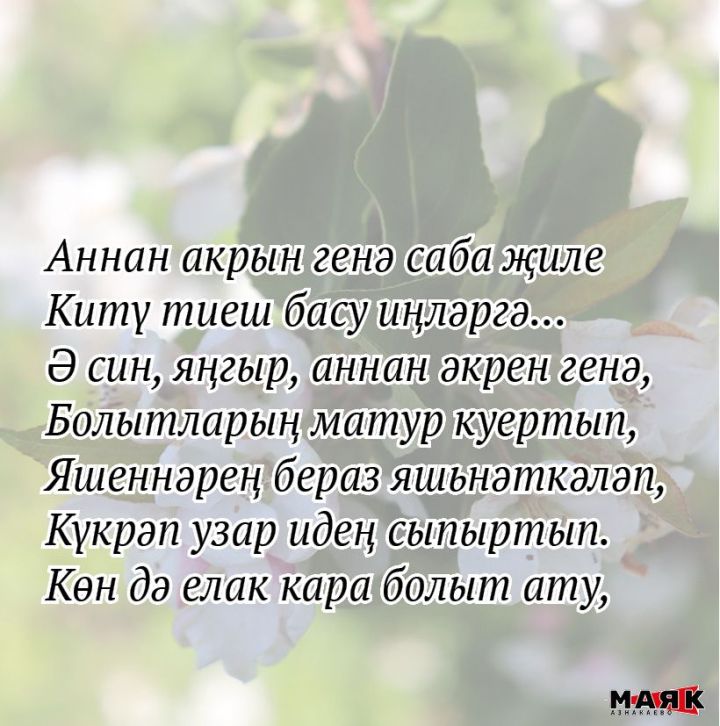 Римма Варис кызы Тинбакованың иҗаты