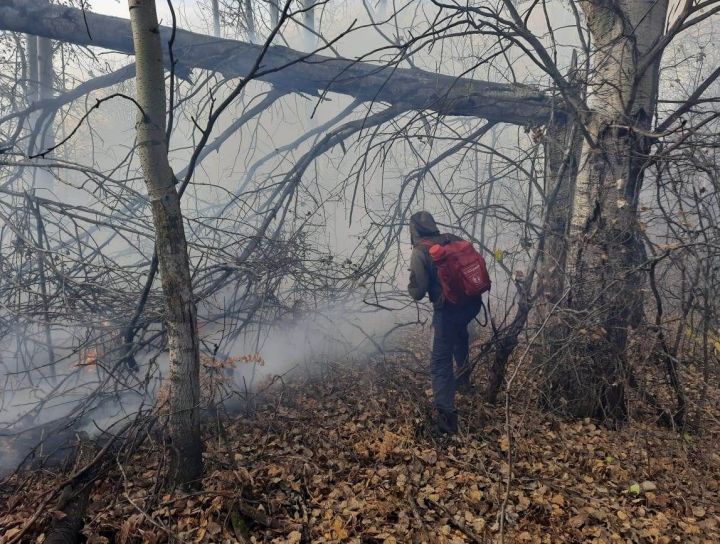 Урман янгыннарын ничек кисәтергә: Азнакай белгечләре мөһим кагыйдәләрне искә төшерә