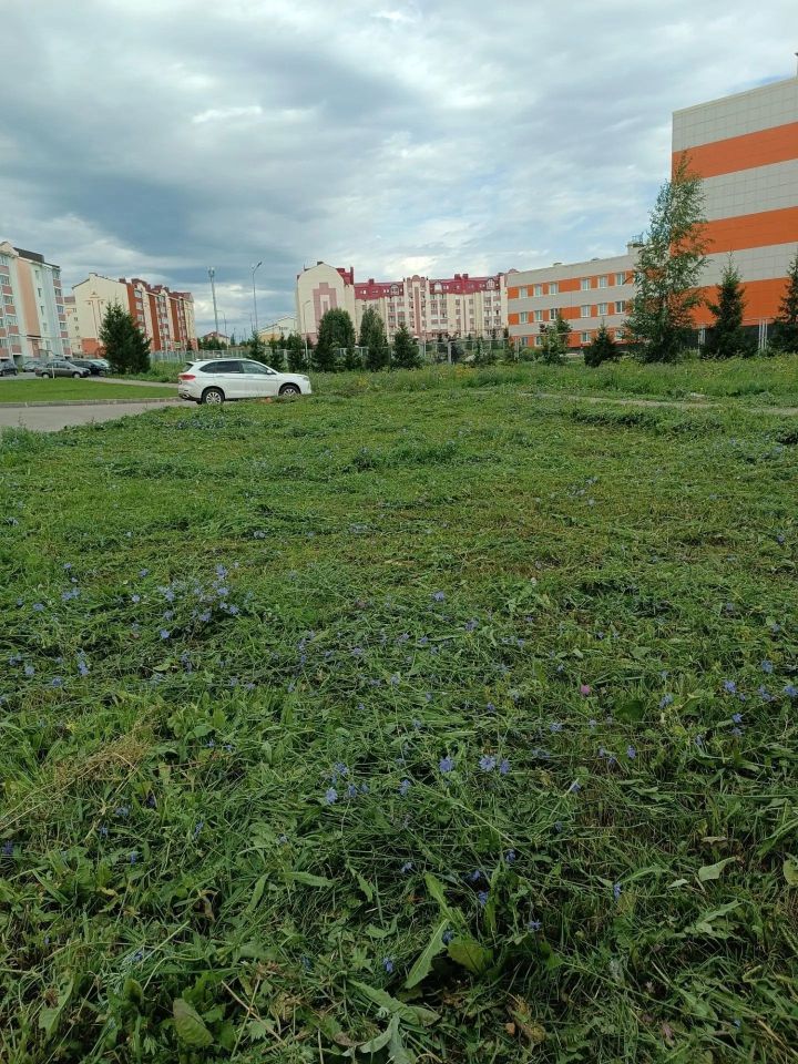 Покос травы в Азнакаево идёт полным ходом!