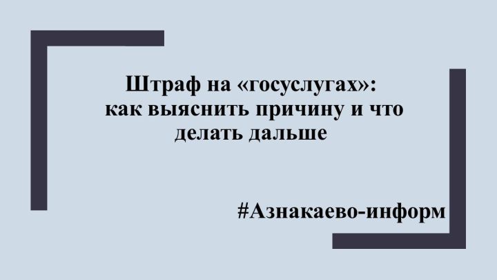 Штраф на «Госуслугах»: как выяснить причину и что делать дальше