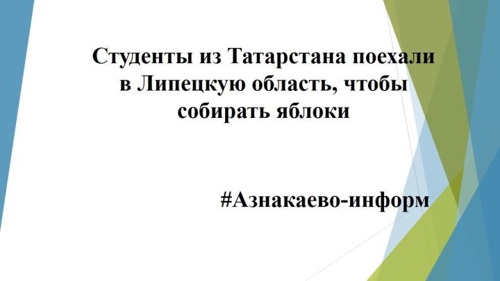 Студенты из Татарстана поехали в Липецкую область, чтобы собирать яблоки