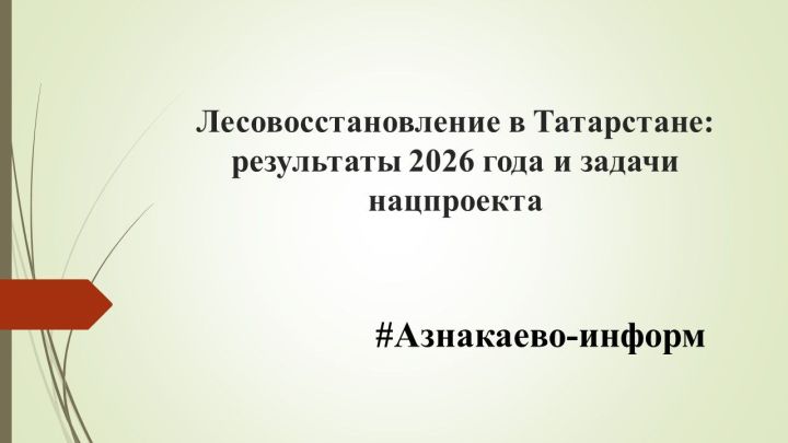 Лесовосстановление в Татарстане: результаты 2026 года и задачи нацпроекта