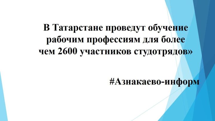 В Татарстане проведут обучение рабочим профессиям для более чем 2600 участников студотрядов