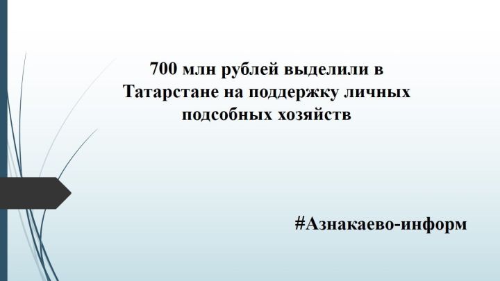700 млн рублей выделили в Татарстане на поддержку личных подсобных хозяйств