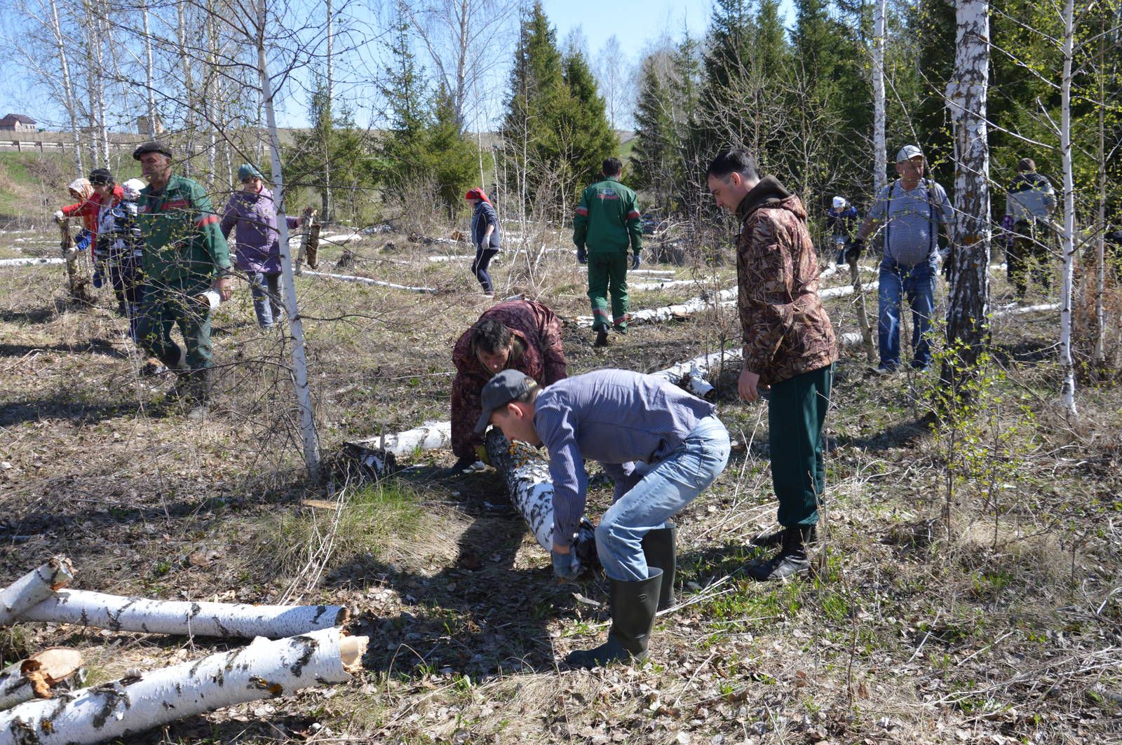 Еще один лес в Азнакаево очистили от сухостоя