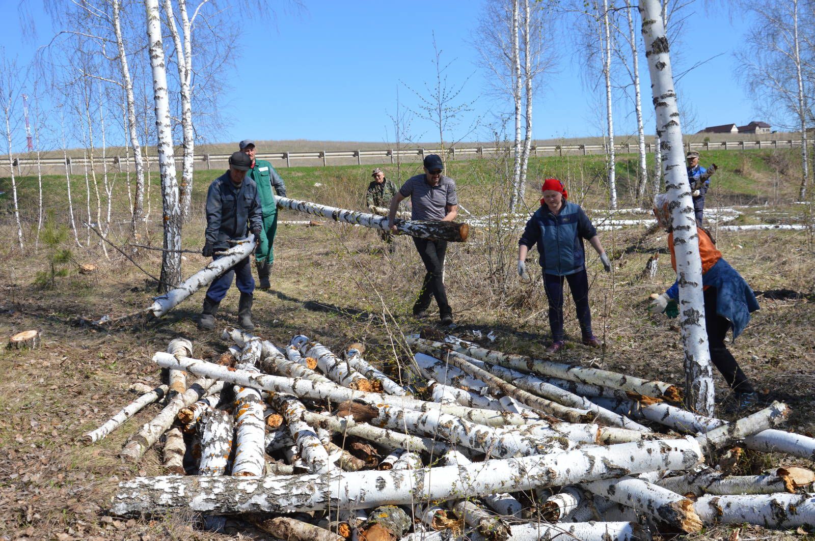 Еще один лес в Азнакаево очистили от сухостоя