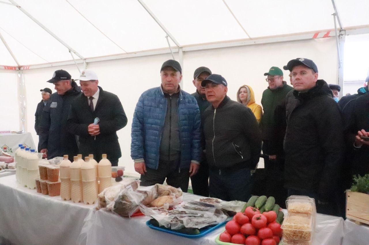 Татарстан Президенты Рөстәм Миңнеханов азнакайлылар эшчәнлеген уңай бәяләде