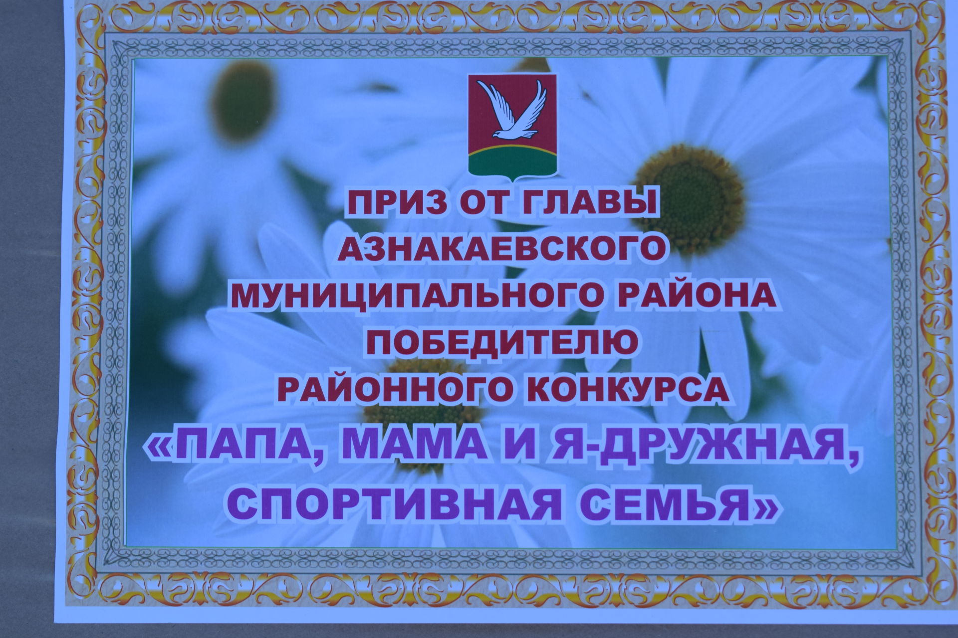 В Азнакаево День семьи отметили состязаниями под песни земляка Данира Сабирова