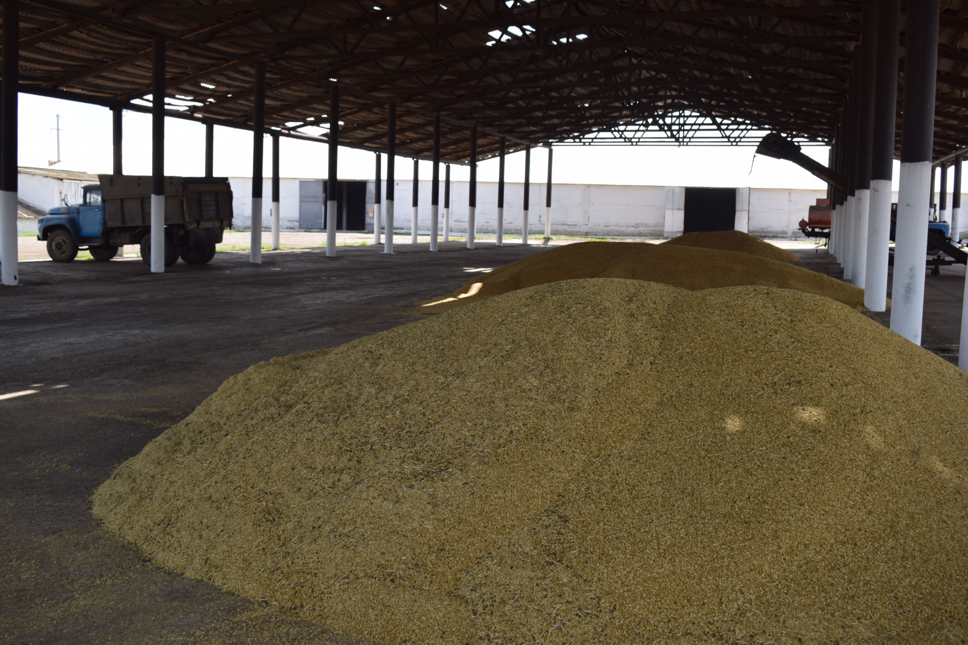 В Азнакаевском районе заготавливают корма с использованием передовых технологий