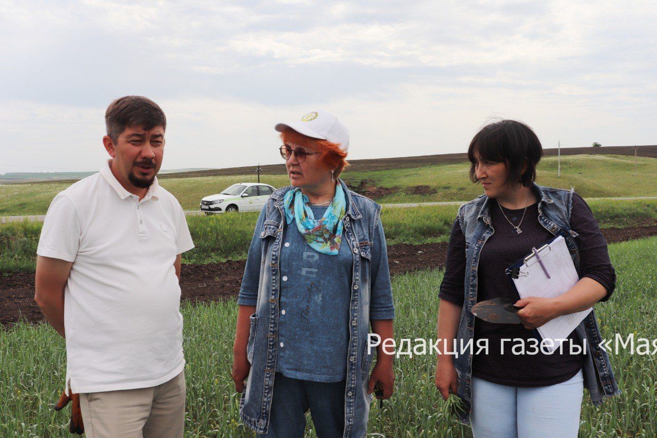 В Азнакаевском районе прошла приемка посевов