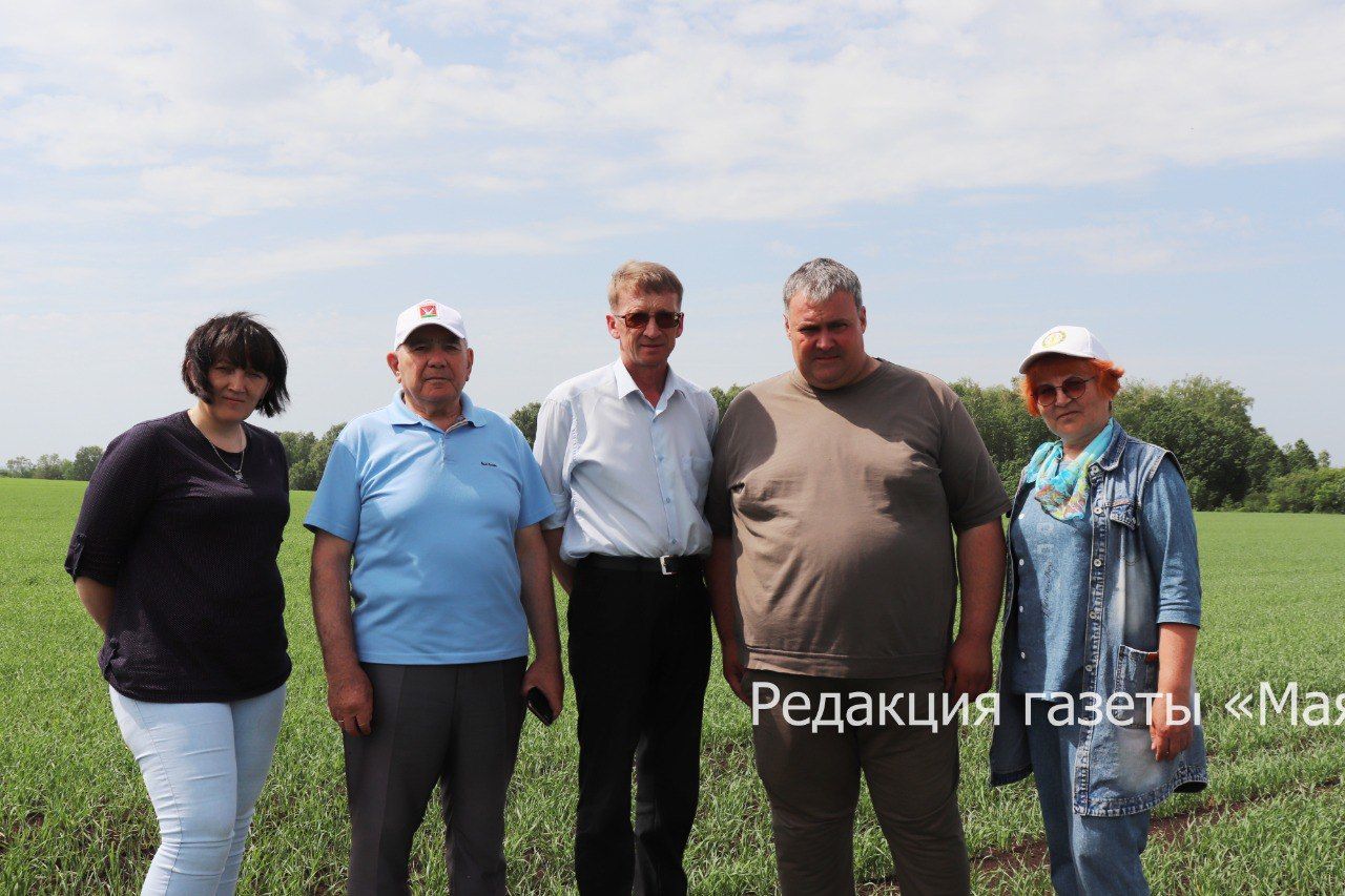 В Азнакаевском районе прошла приемка посевов