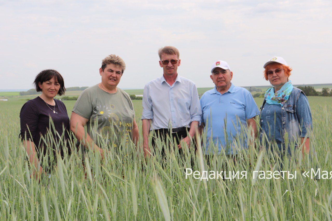 В Азнакаевском районе прошла приемка посевов