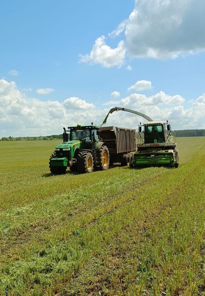 Азнакаевцы приступили к уборке урожая