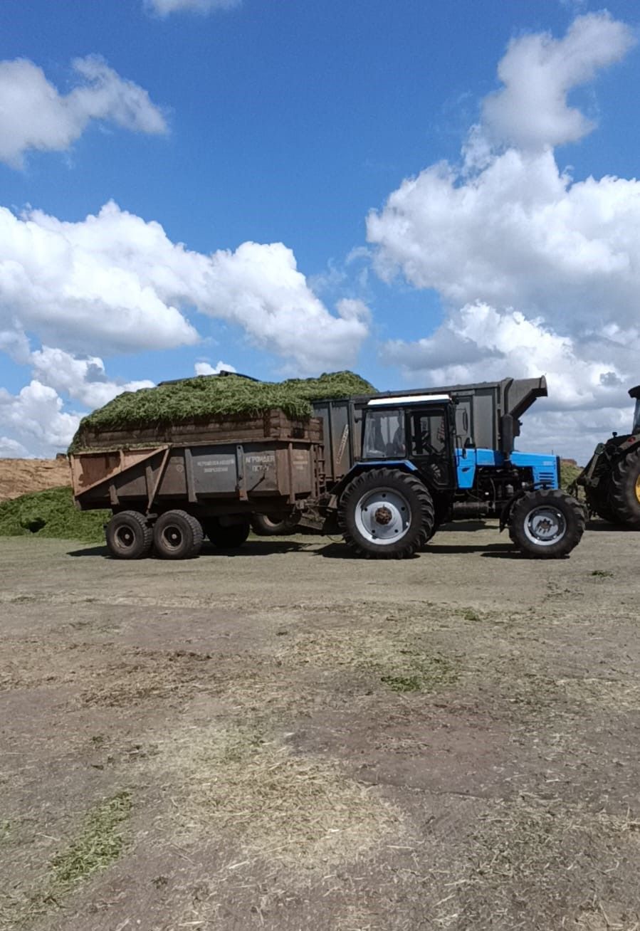 Азнакайлылар уракка төштеләр