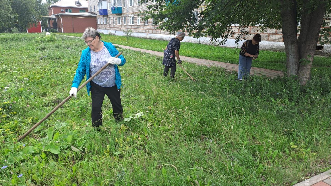 Азнакайлылар җәйге эш-мәшәкатьләрдә