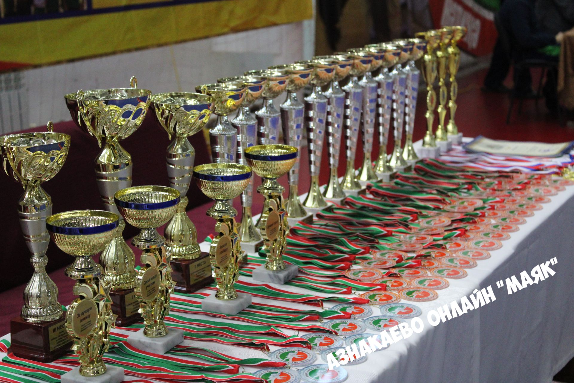 В Азнакаево проходит турнир по борьбе на Кубок главы района