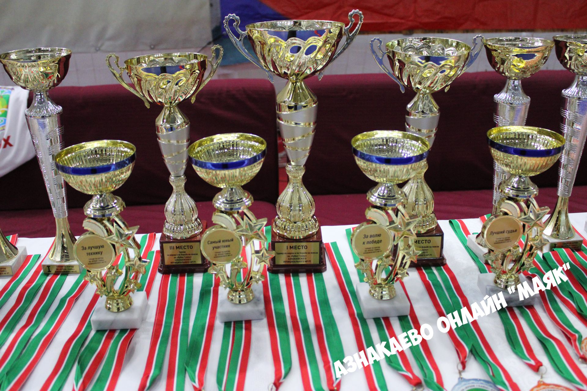 В Азнакаево проходит турнир по борьбе на Кубок главы района