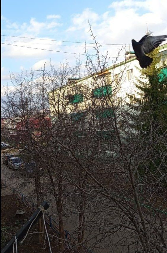 Благовещение — один из важнейших праздников православного календаря