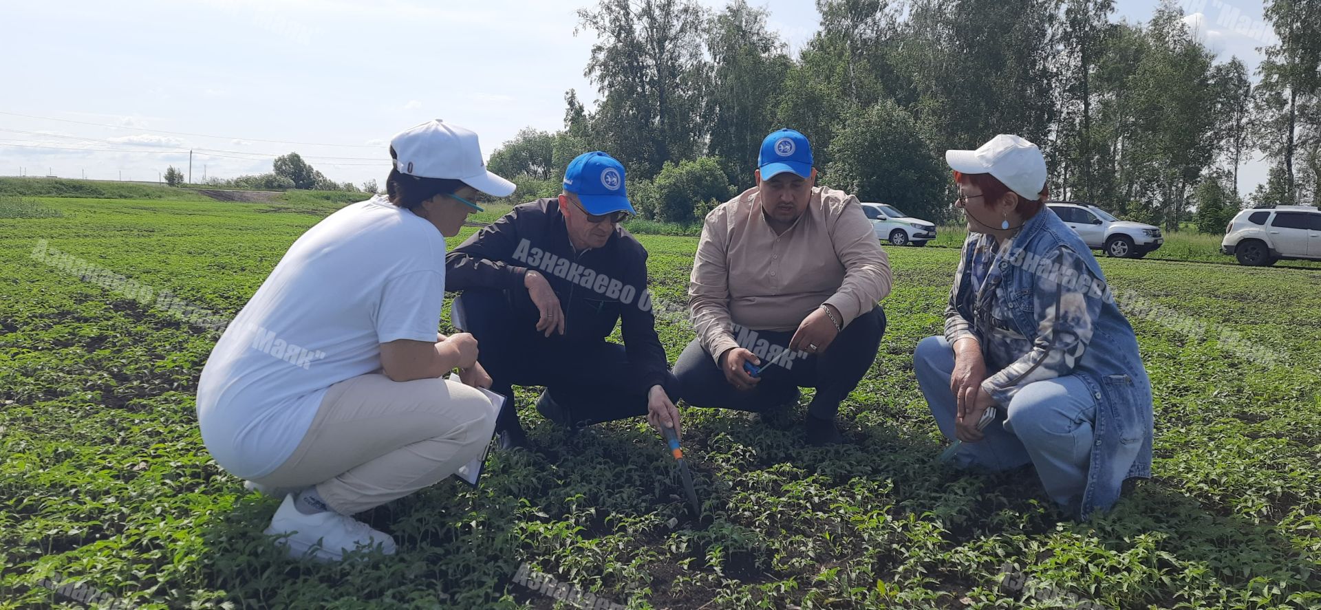 Азнакайда комиссия чәчүлекләрне кабул итте