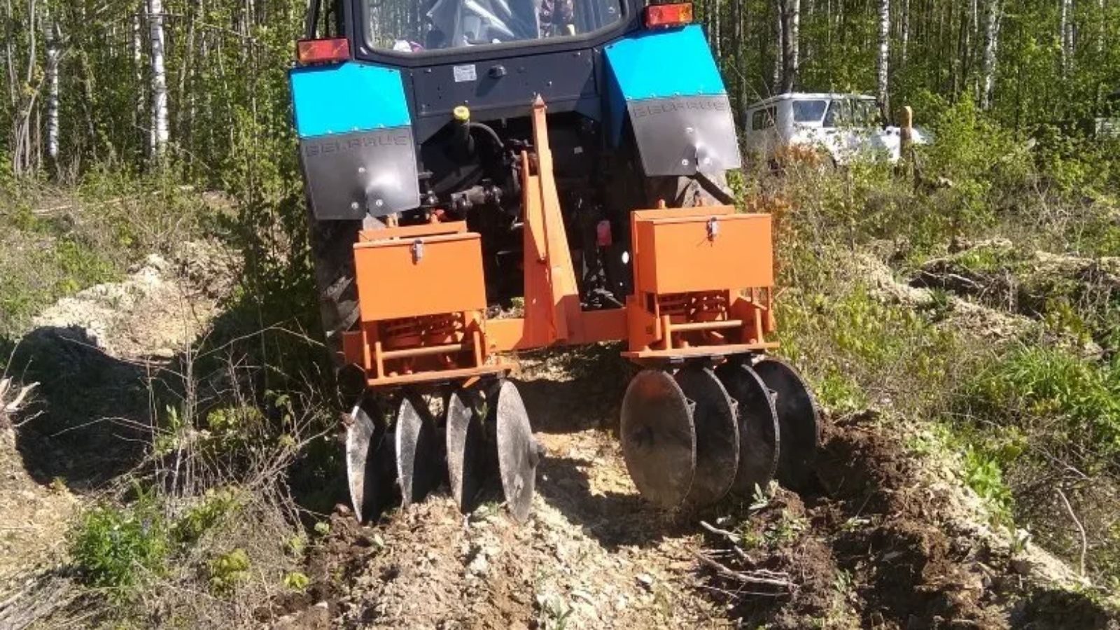 В Татарстане выполнены работы по агротехническому уходу за лесными культурами