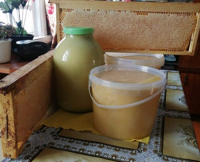 Баллы су организмны чистарта