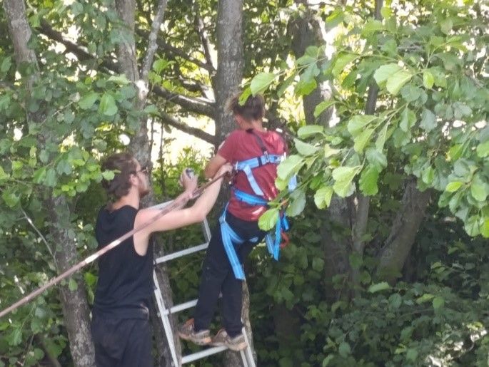 В «Патриоте» весело и полезно!