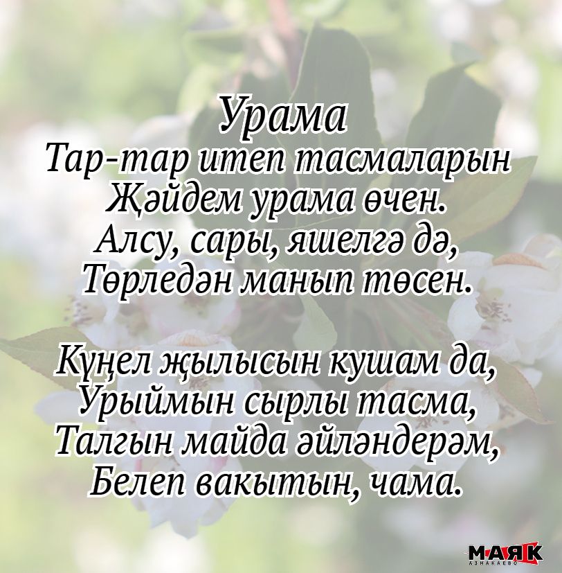 Дания  Хәсәнованың шигырьләре
