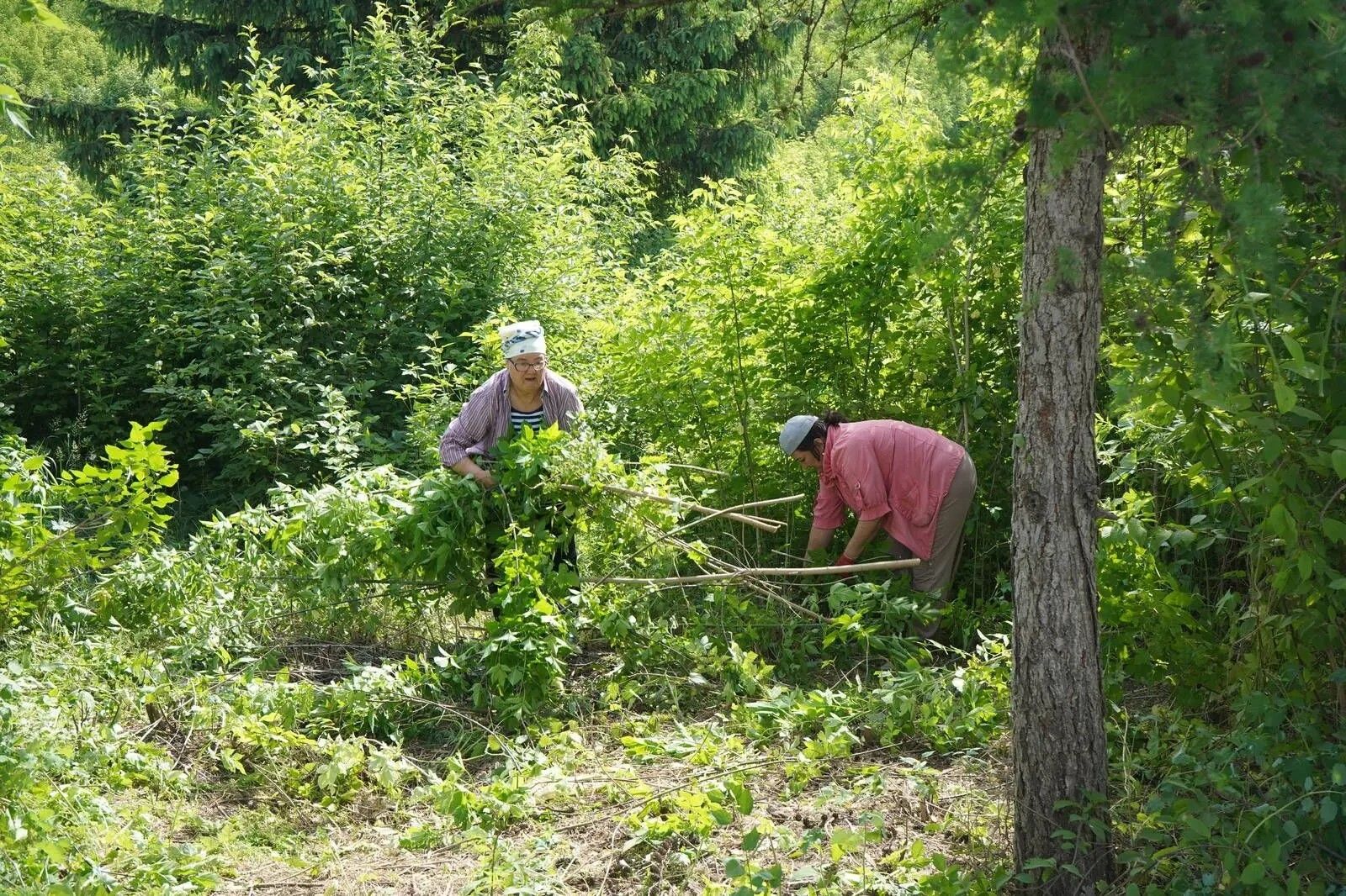 На старо-татарском кладбище в Азнакаево прошёл субботник с участием земляков