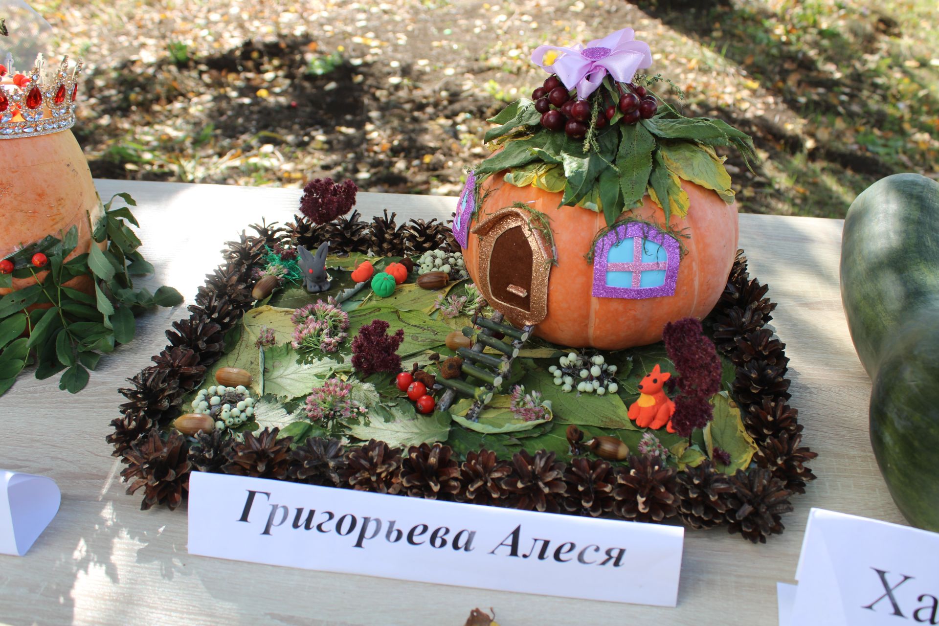 Сәпәй авылында иң зур һәм кечкенә кабак үстерүчеләрне ачыкладылар