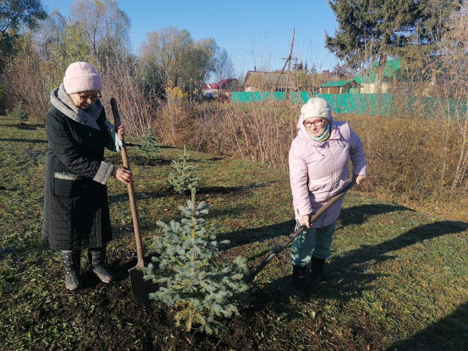 Азнакайда чернобыльчеләр һәйкәле янында чыршылар утыртылды