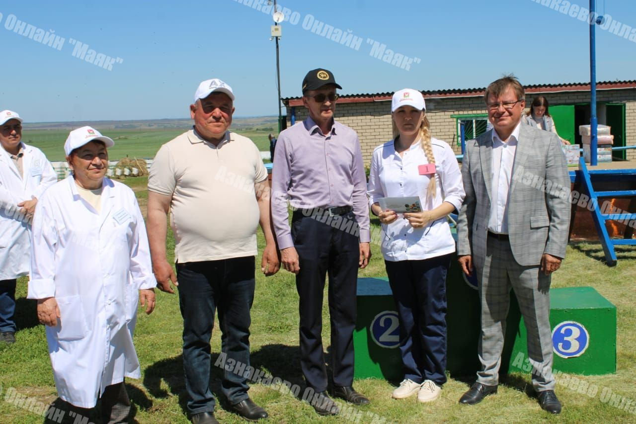 В Азнакаевском районе прошел конкурс доярок и технологов