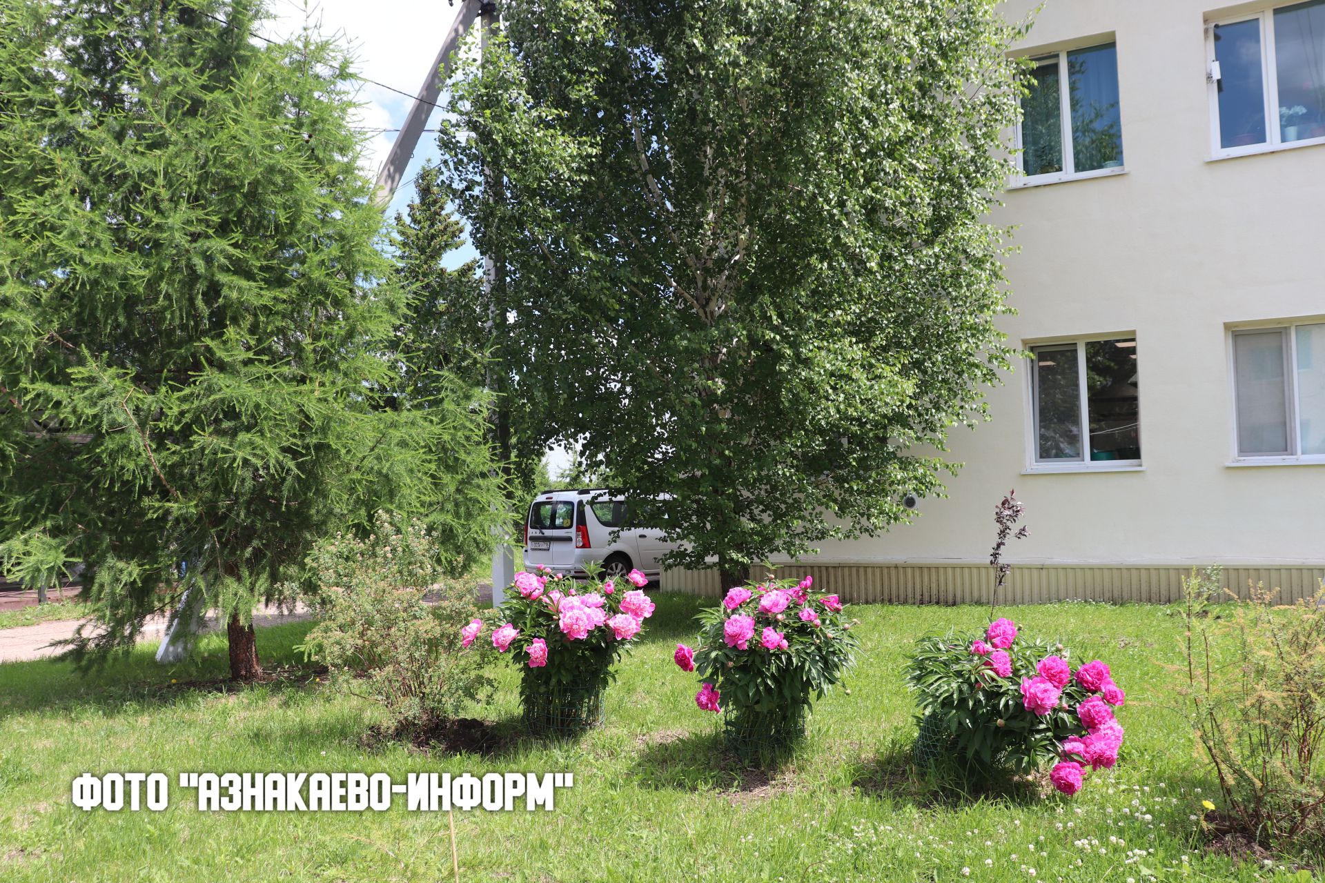Здоровье и активное долголетие: в Актюбинском доме-интернате прошел праздник Сабантуй
