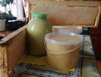 Баллы су организмны чистарта