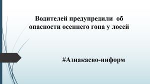 Водителей предупредили  об опасности осеннего гона у лосей