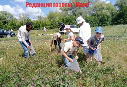 Сәпәй уңганнары махсус хәрби операциядә катнашучыларга витаминлы чәй әзерли