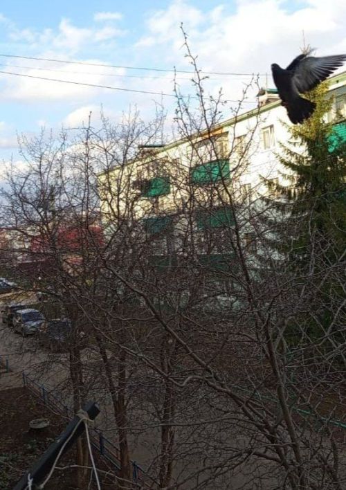 Благовещение — один из важнейших праздников православного календаря