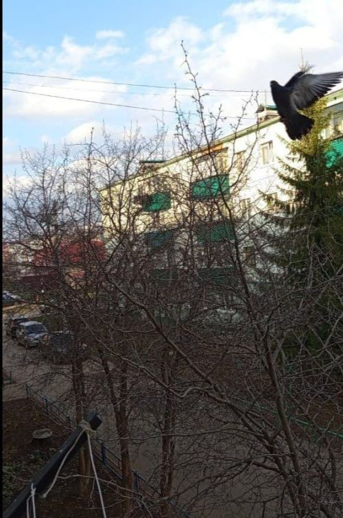 Благовещение — один из важнейших праздников православного календаря