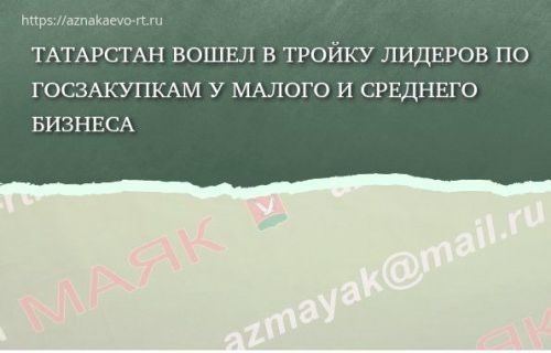 Татарстан вошел в тройку лидеров по госзакупкам у малого и среднего бизнеса