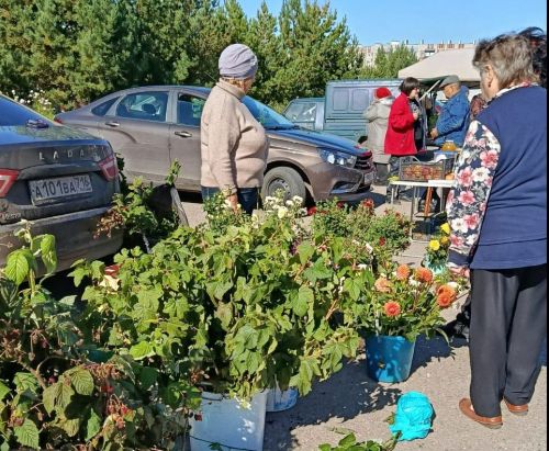Азнакаевцы, приглашаем на осеннюю ярмарку!