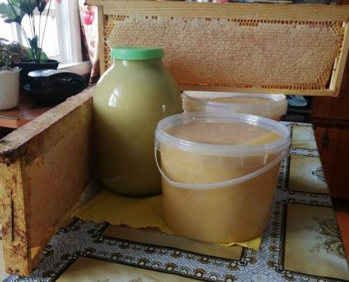 Баллы су организмны чистарта