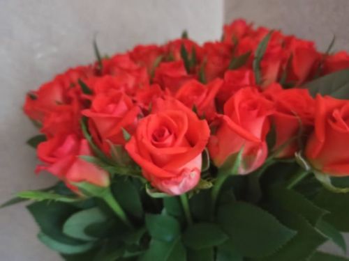 Теләкләрнең иң изгесе сиңа, кадерлебез!