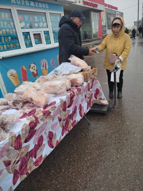 Табыннарыбыз муллыгы  өчен